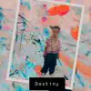 Geemoneyxl - Destiny - Single